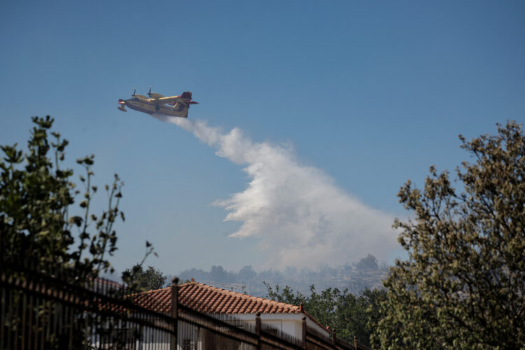Gozdni požar v kraju Koropi v Grčiji