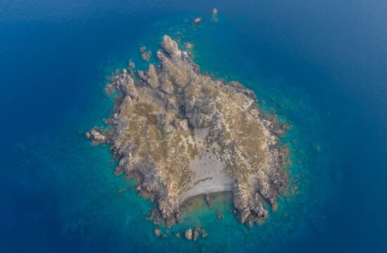 Hrvaški otok, na katerem živi žival, ki je ne najdemo nikjer drugje na svetu
