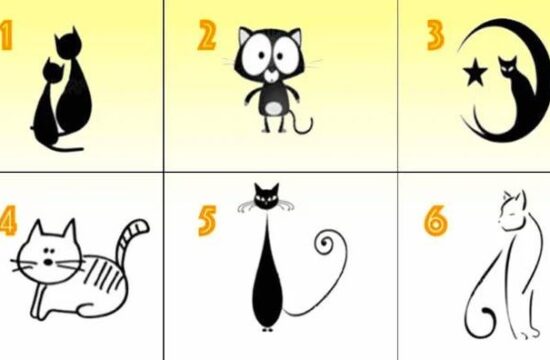 mačke, ilustracija, psihološki test, osebnost