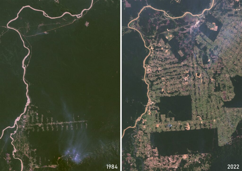 deforestacija amazonskega pragozda, primerjava 1984 2022, izsekavanje