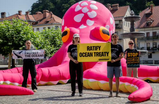 roza hobotnica sredi ljubljane