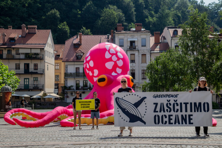 roza hobotnica sredi ljubljane