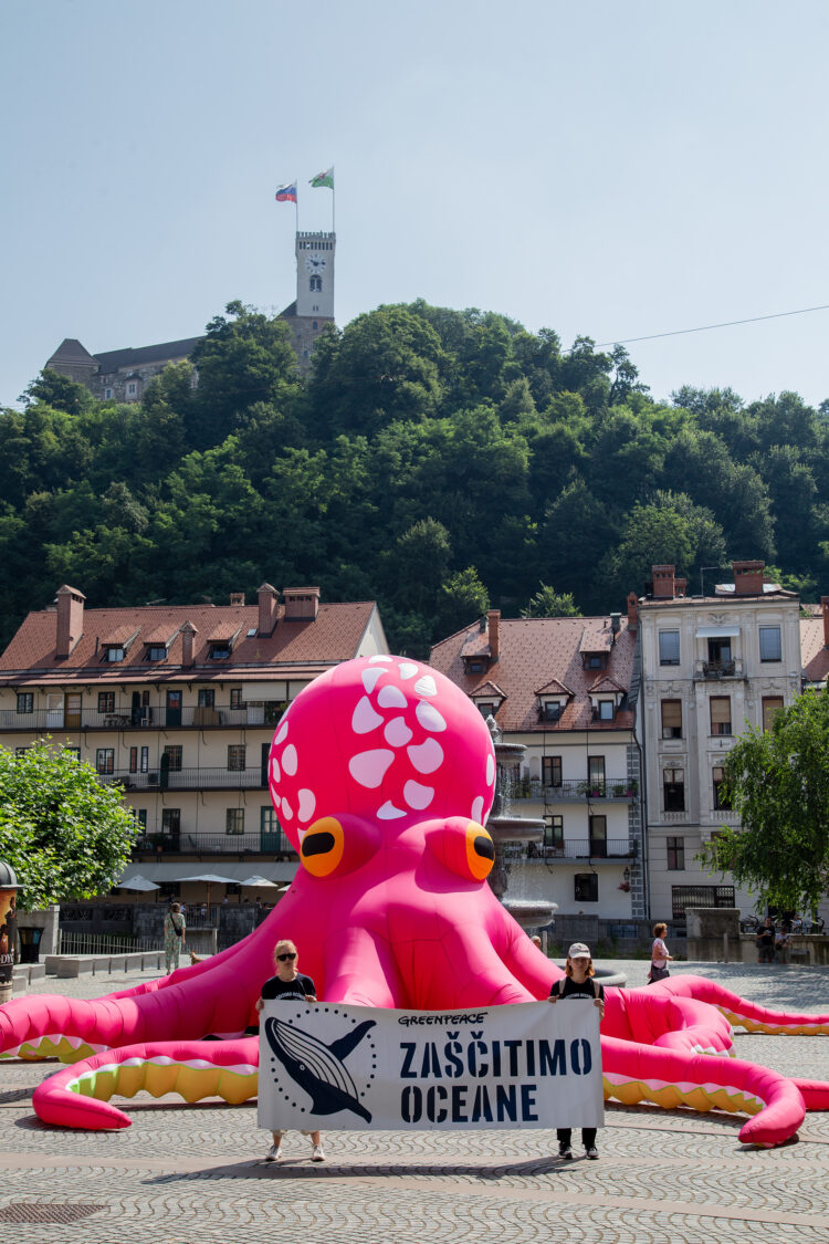 roza hobotnica sredi ljubljane