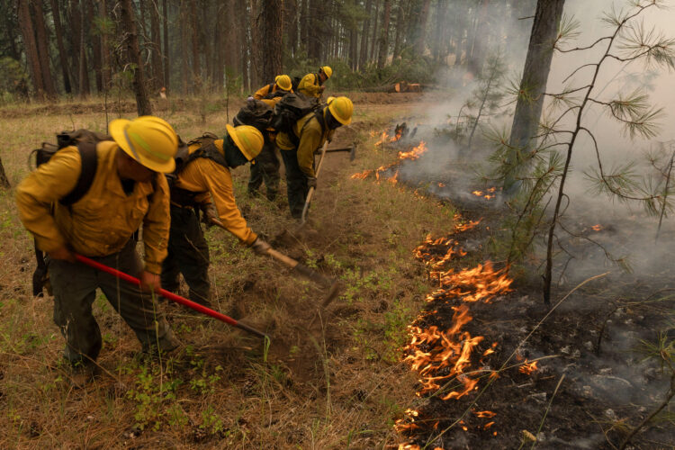 Gozdni požari v Oregonu