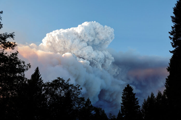 Gozdni požari v Kaliforniji