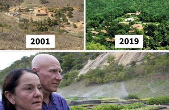 Brazilski fotograf in novinar Sebastiao Salgado in njegova žena Lélia Wanick sta zadnjih dvajset let posvetila sajenju gozda na površini 700 hektarjev