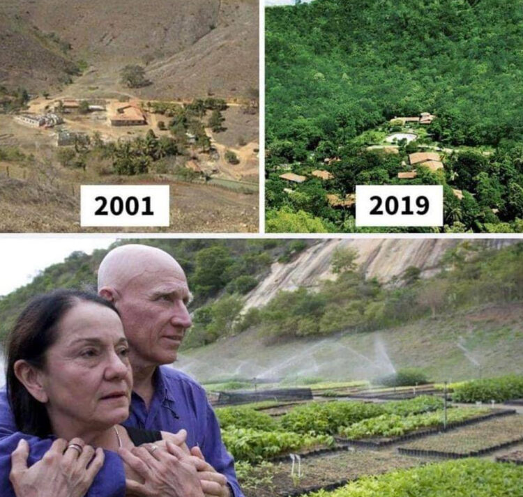 Brazilski fotograf in novinar Sebastiao Salgado in njegova žena Lélia Wanick sta zadnjih dvajset let posvetila sajenju gozda na površini 700 hektarjev
