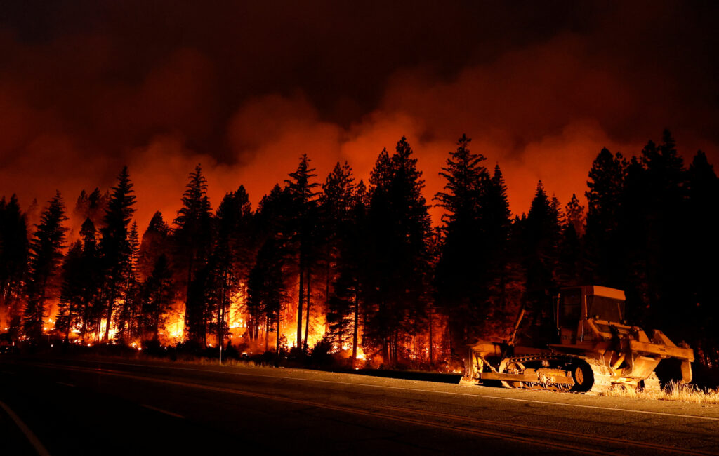 Gozdni požar Park v Kaliforniji