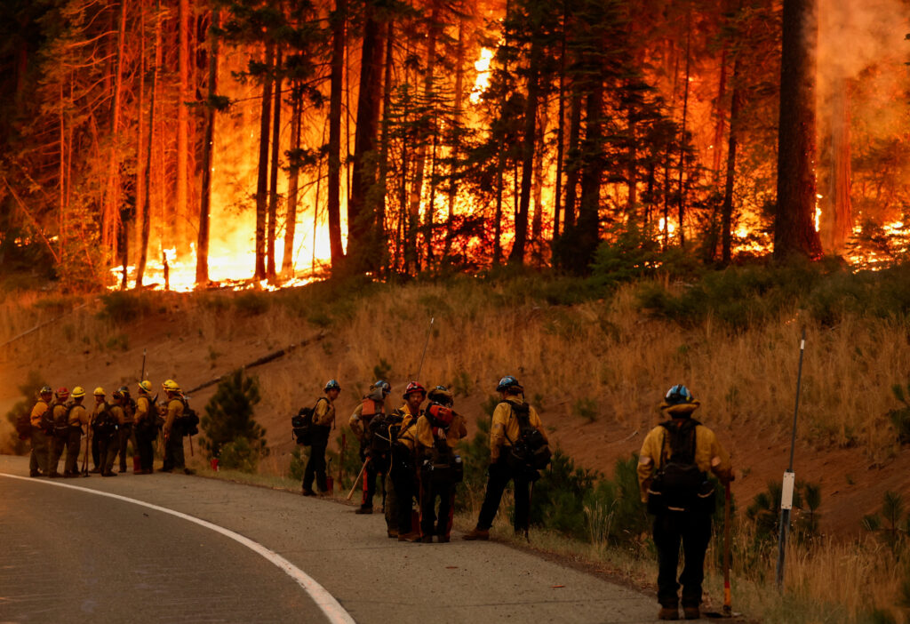 Gozdni požar Park v Kaliforniji