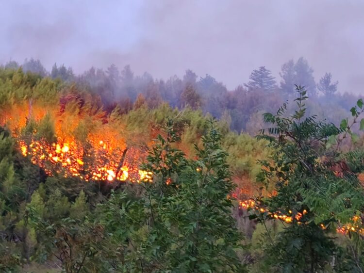 Izbruhnila sta še dva požara v Dalmaciji