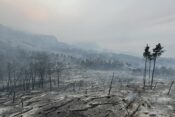 Požarišče na območju naravnega parka Biokovo