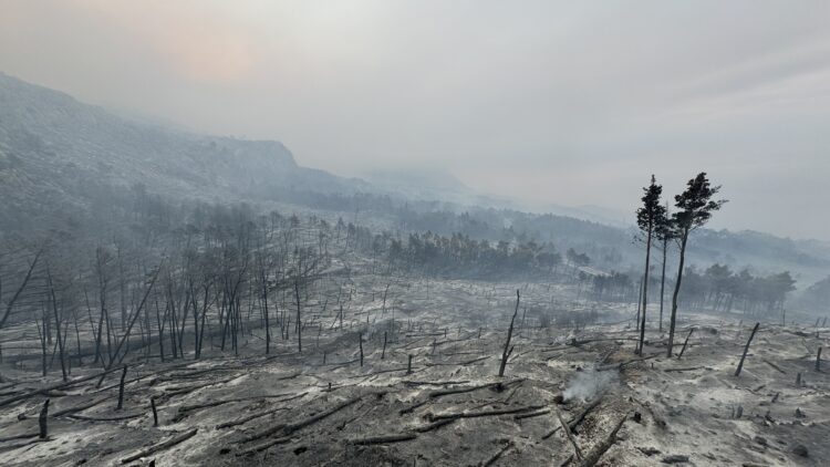 Požarišče na območju naravnega parka Biokovo