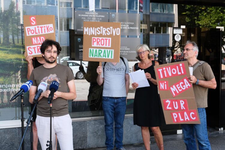 Protest pred ministrstvom, Mladi za podnebno pravičnost