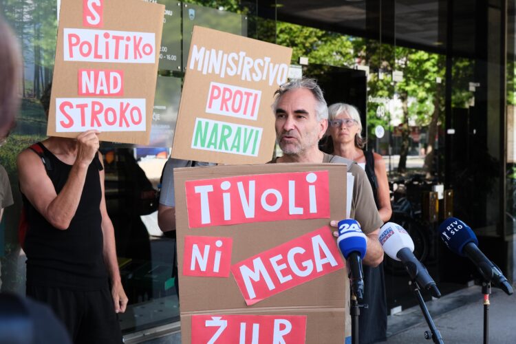 Protest pred ministrstvom, Mladi za podnebno pravičnost