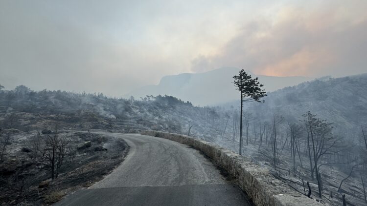 Požar v Dalmaciji