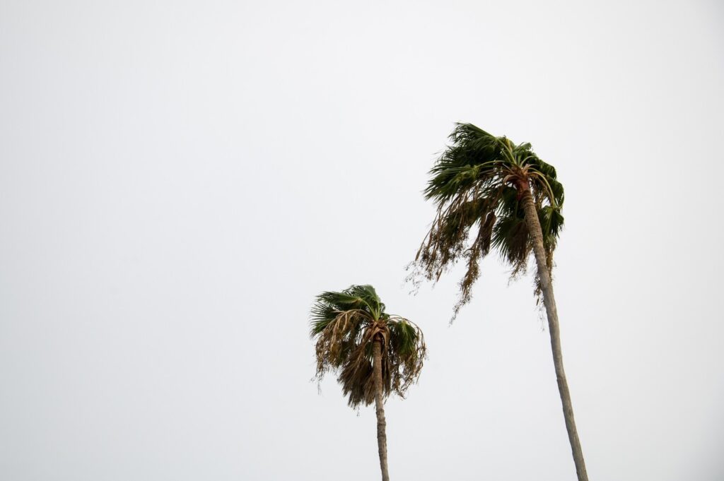 Floridi se približuje nevihta Debby