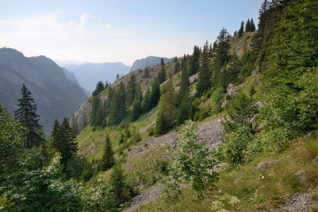 Sutjeska