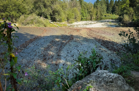 Onesnaženje na sotočju Save Bohinjke in Save Dolinke.