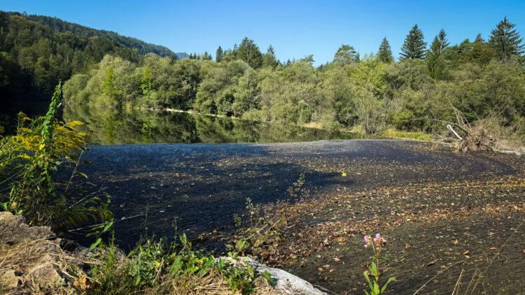 Onesnaženje na sotočju Save Bohinjke in Save Dolinke.