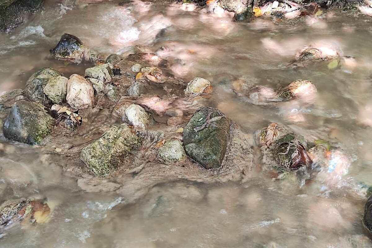 Fekalije na Bledu: pridobili smo analize Save Bohinjke. Kaj so pokazale?