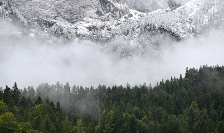 Sneg na nemški gori Zugspitze