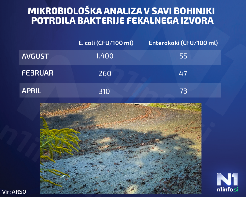 Fekalije v Savi Bohinjki