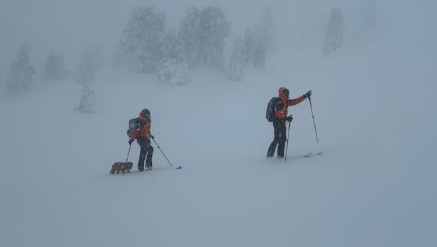 iskalna akcija turni smučar