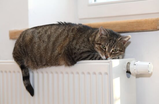 Številne že zebe: kdaj bomo imeli tople radiatorje?