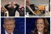 Donald Trump, Kamala Harris, They eat dogs, psi, mačke, viralno. debata