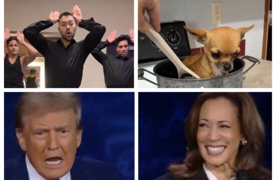 Donald Trump, Kamala Harris, They eat dogs, psi, mačke, viralno. debata