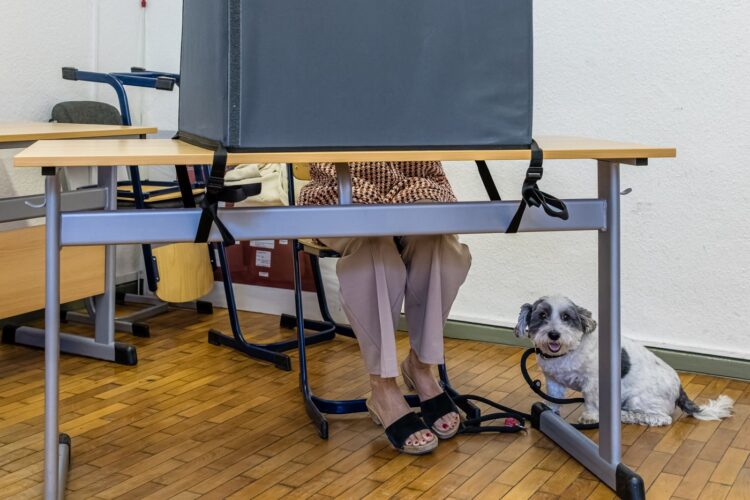 Deželne volitve v deželi Brandenburg