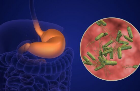 Helicobacter pylori