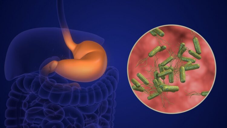 Helicobacter pylori