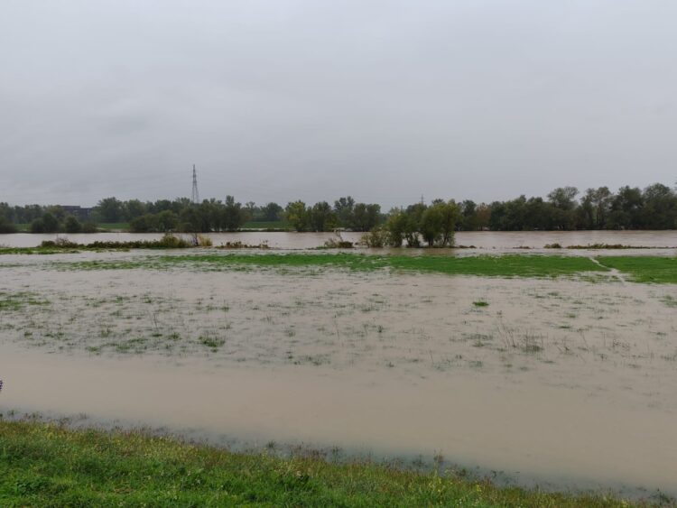 Sava v Zagrebu