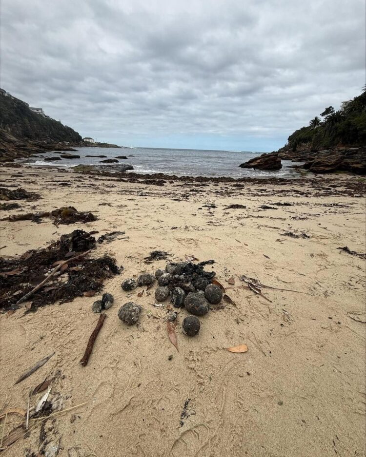 Na plažo naplavilo črne krogle