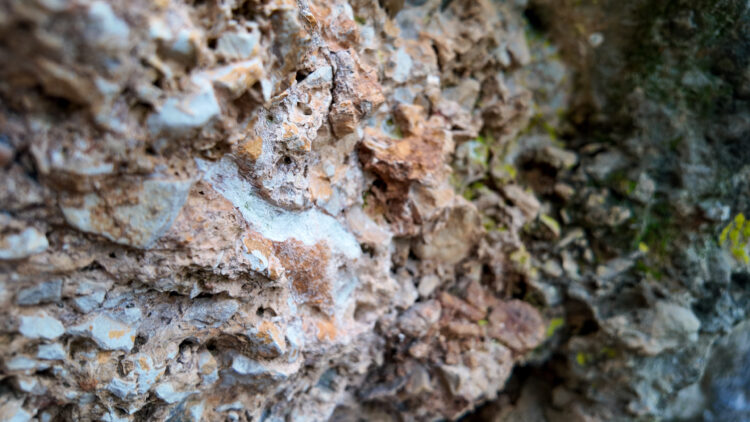 V Uršnji luknji pri Šembijah so našli orodja neandertalcev ter kosti in zobe živali, ki so živele pred zadnjo ledeno dobo.