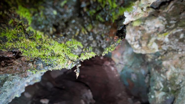 V Uršnji luknji pri Šembijah so našli orodja neandertalcev ter kosti in zobe živali, ki so živele pred zadnjo ledeno dobo.