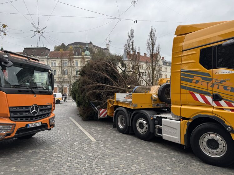 Novoletna smreka v Ljubljani