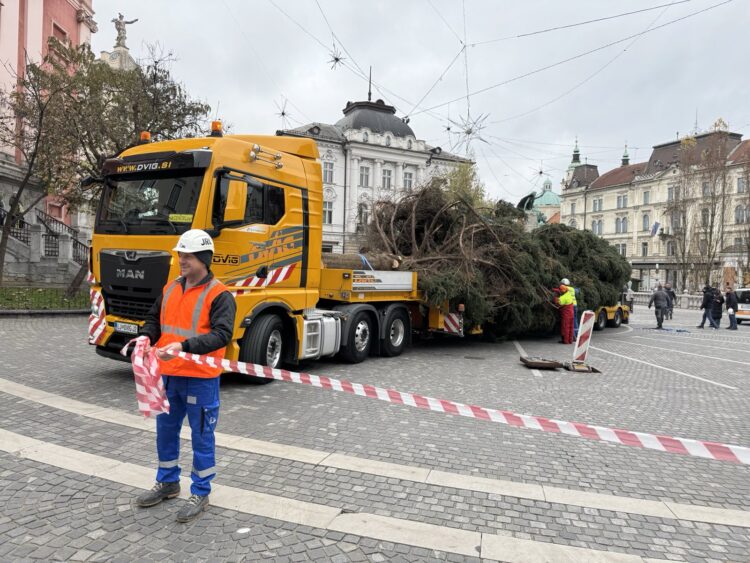 Novoletna smreka v Ljubljani