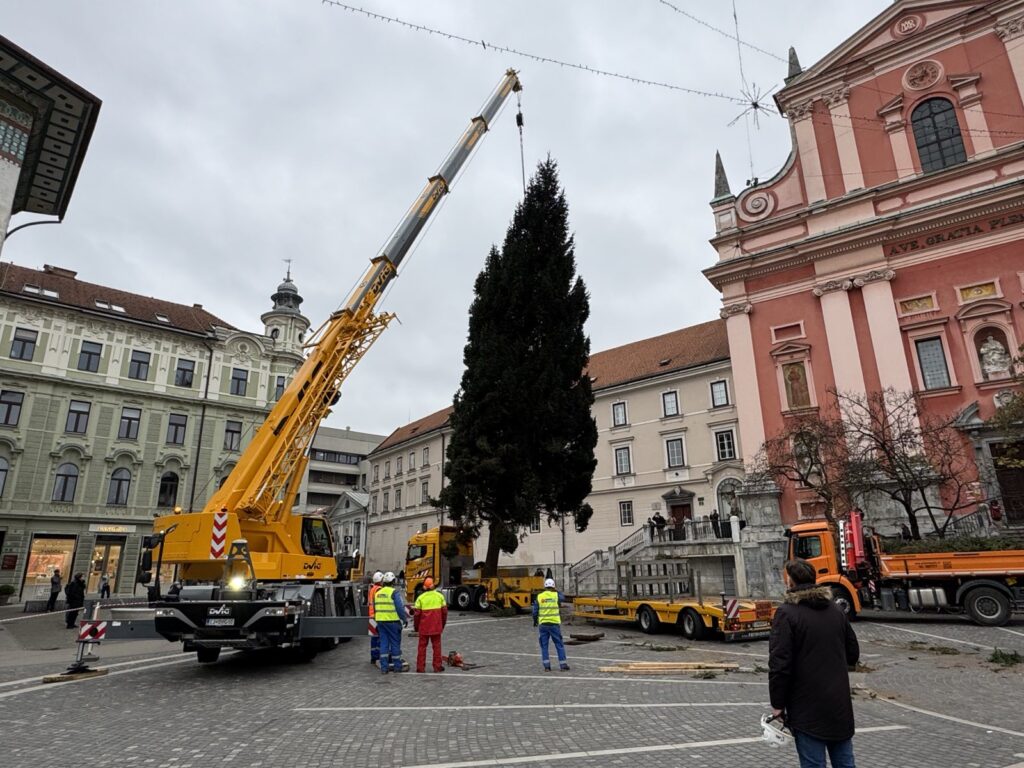 Novoletna smreka v Ljubljani