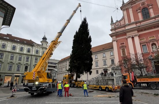 Novoletna smreka v Ljubljani