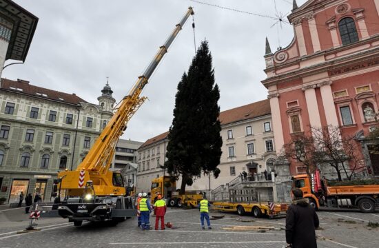 Novoletna smreka v Ljubljani