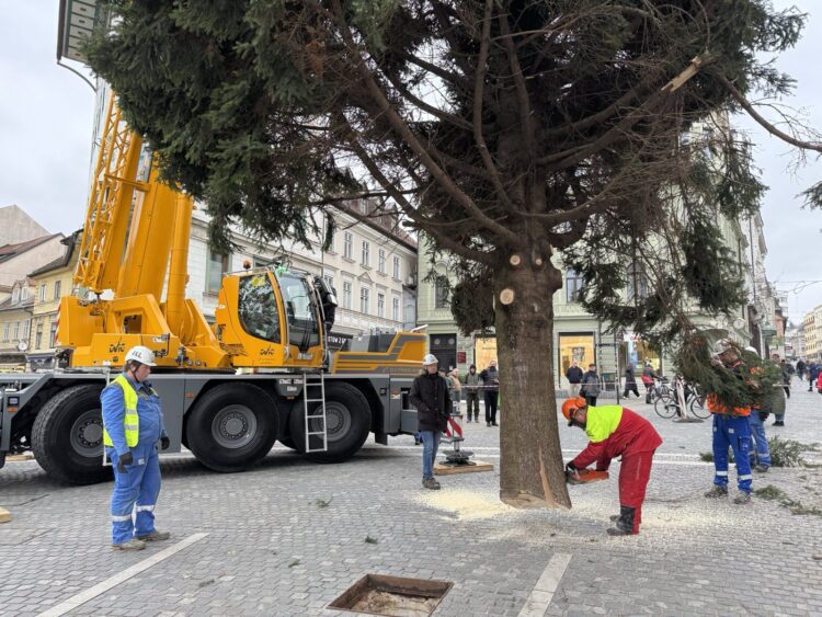 Novoletna smreka v Ljubljani