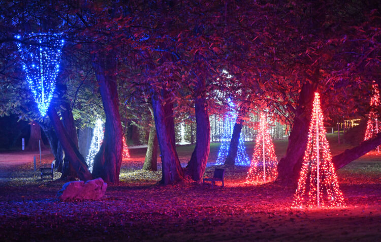 Arboretum Volčji Potok v lučkah