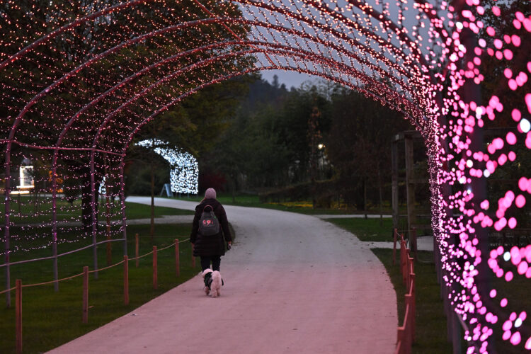 Arboretum Volčji Potok v lučkah