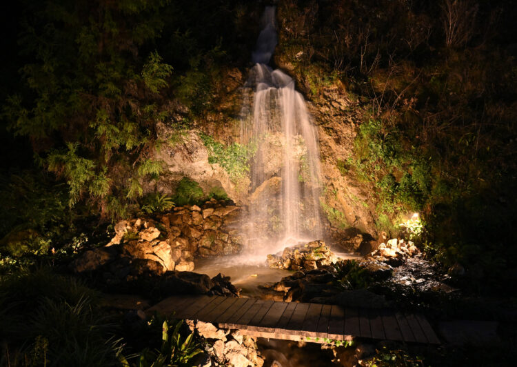 Arboretum Volčji Potok v lučkah