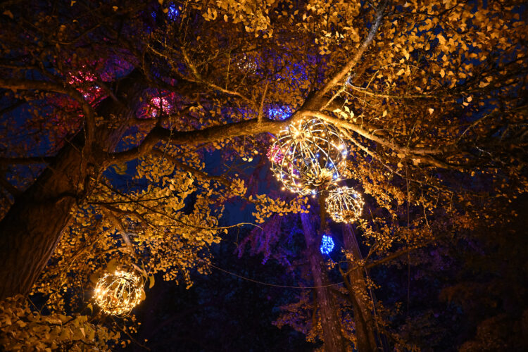 Arboretum Volčji Potok v lučkah