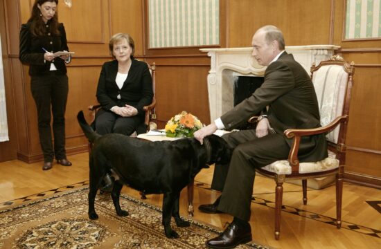 Putin se je opravičil Angeli Merkel: “Oprosti. Nisem želel povzročiti bolečine”