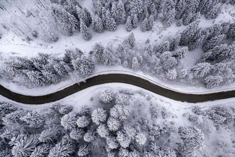 Zimska pravljica