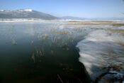 Cerkniško jezero